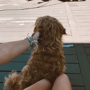 Meet your Posher, Madie